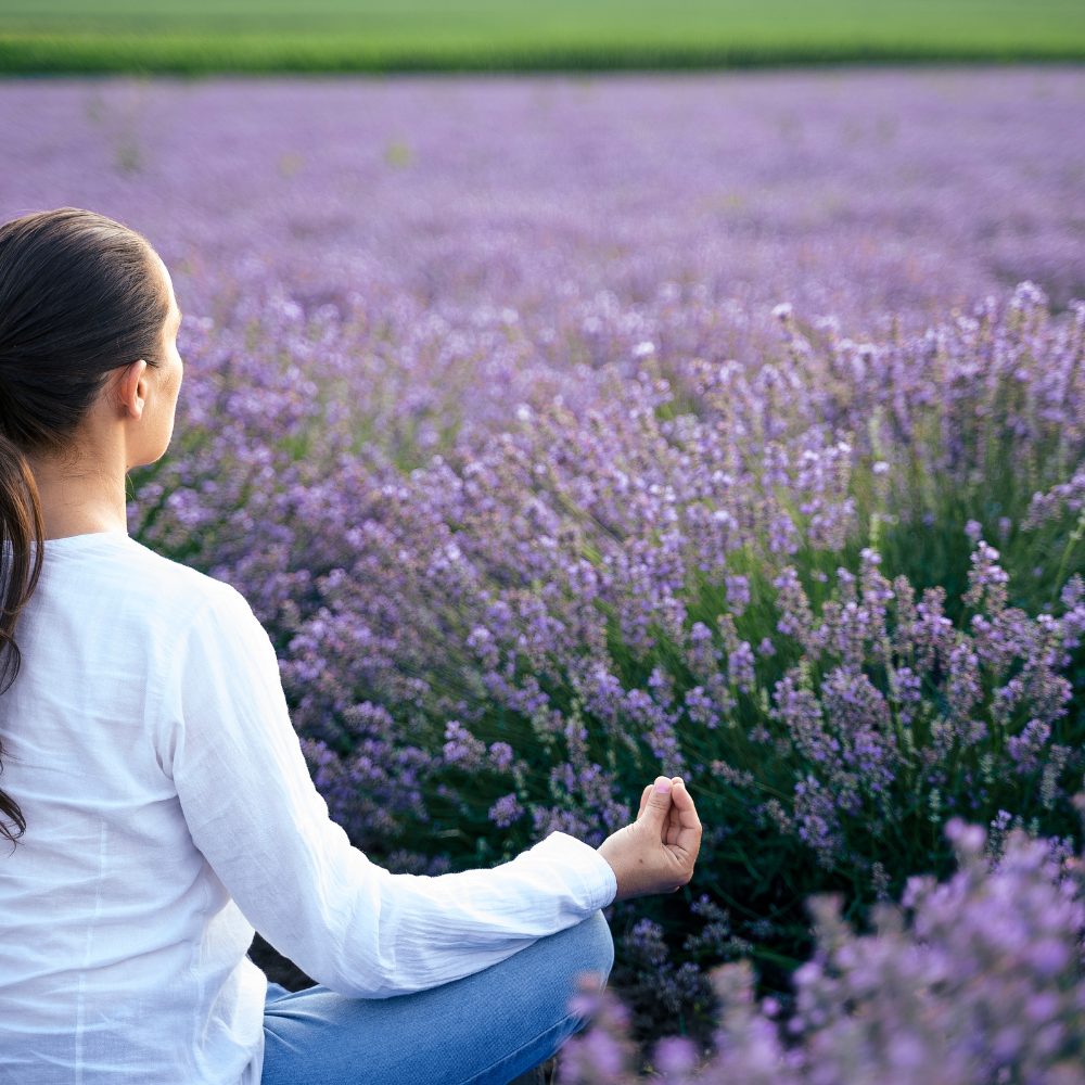 Yin Yoga am Lavendelfeld – Tiefe Entspannung bei TAOASIS